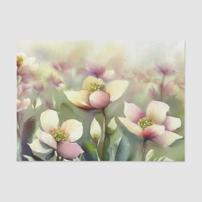 Field of Flowers-Hellebore (A) Watercolor  Tissue Paper (Front)