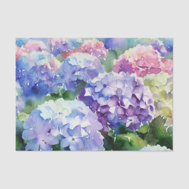Field of Flowers-Hydrangea (A) Watercolor  Tissue Paper (Front)