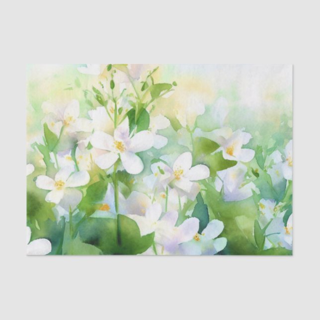 Field of Flowers-Jasmine (B) Watercolor  Tissue Paper (Front)