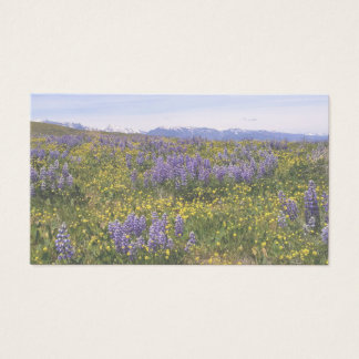 Field of Flowers Note Card