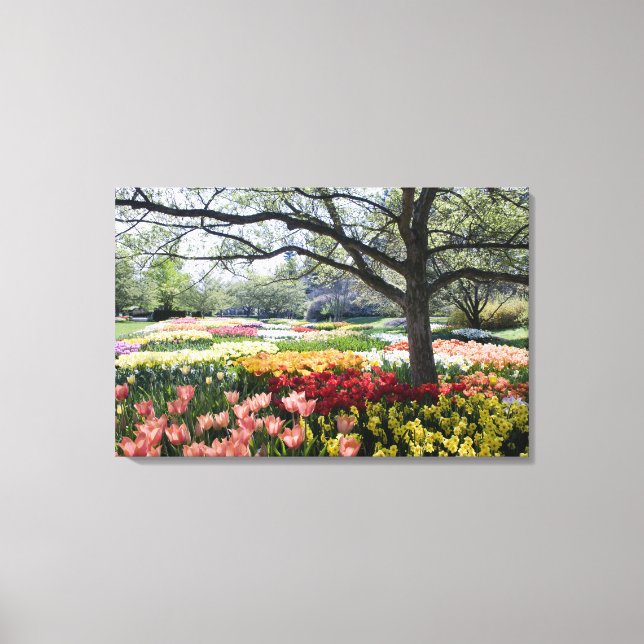 Field of flowers on a Spring morning Canvas Print (Front)