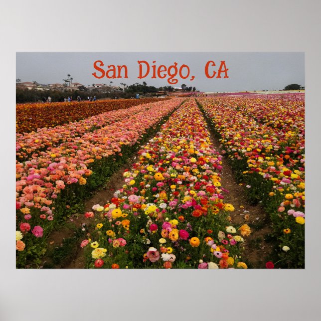 Field of flowers poster Customisable (Front)