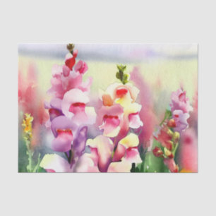 Field of Flowers-Snapdragon (C) Watercolor  Tissue Paper