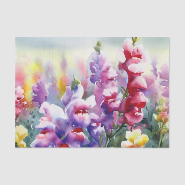 Field of Flowers-Snapdragon (D) Watercolor  Tissue Paper (Front)