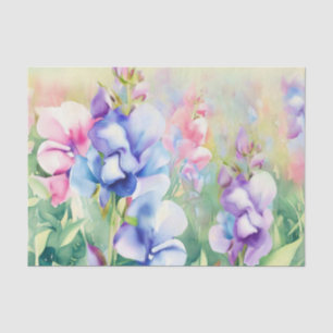 Field of Flowers-Sweet Pea (B) Watercolor Tissue Paper