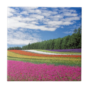 Field of Flowers Tile