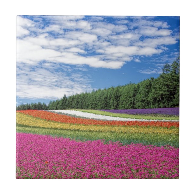 Field of Flowers Tile (Front)