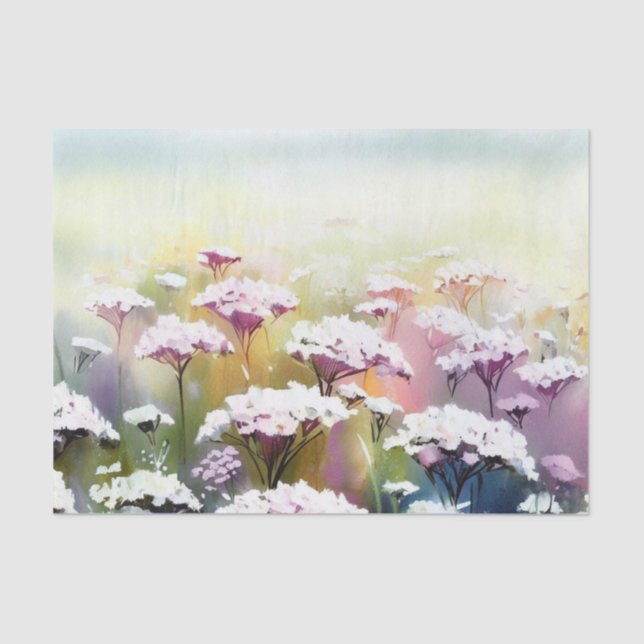 Field of Flowers-Yarrow (D) Watercolor  Tissue Paper (Front)