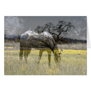 Field of Gold