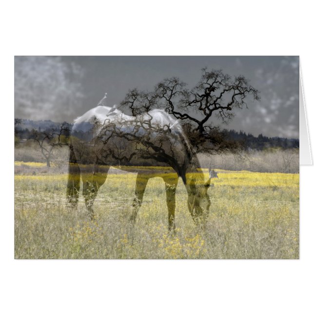Field of Gold (Front Horizontal)