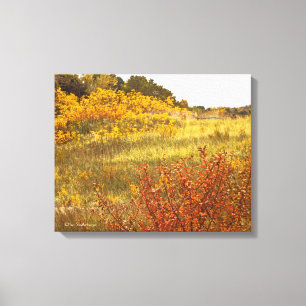 "FIELD OF GOLD"  WRAPPED CANVAS GLOSS PRINT
