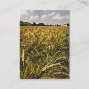 Field of Grain ATC Business Card