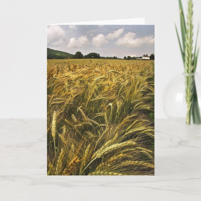 Field of Grain Card (Front)