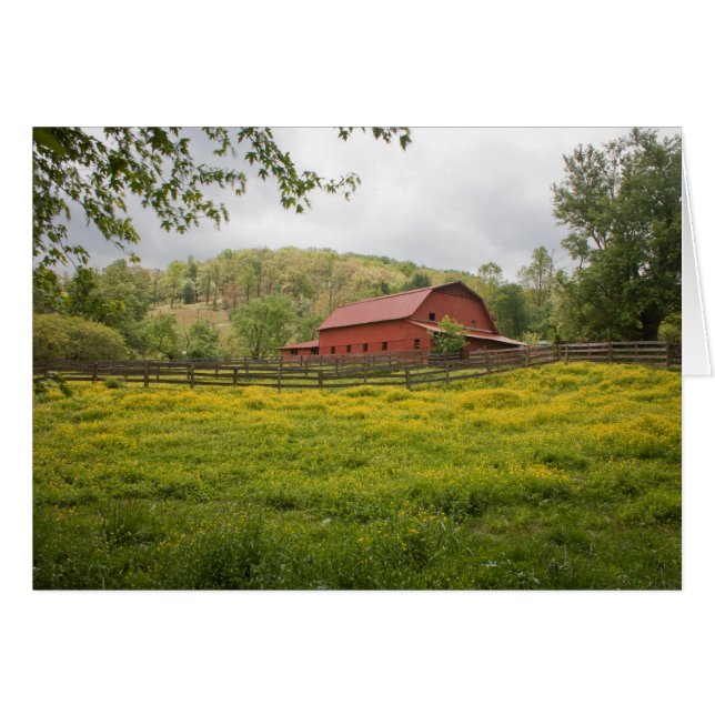 Field of Greens (Front Horizontal)
