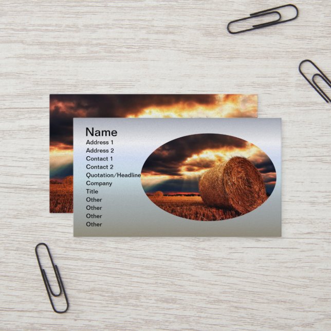Field of Hay Bales Business Card (Front/Back In Situ)