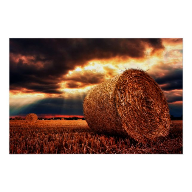 Field of Hay Bales Poster (Front)