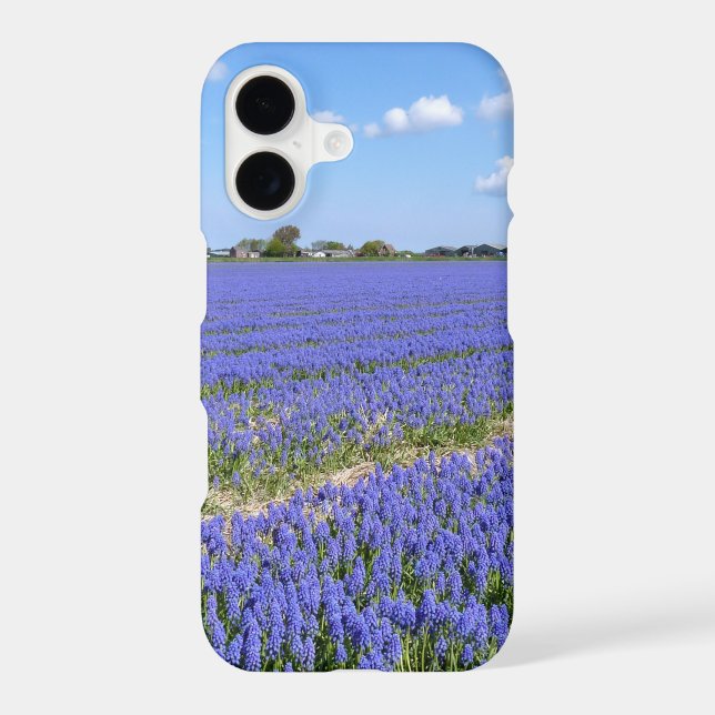 Field of Hyacinths (Back)
