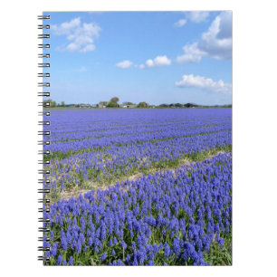 Field of Hyacinths Notebook