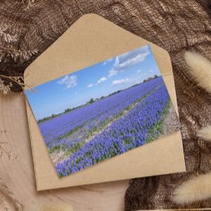 Field of Hyacinths Paper 