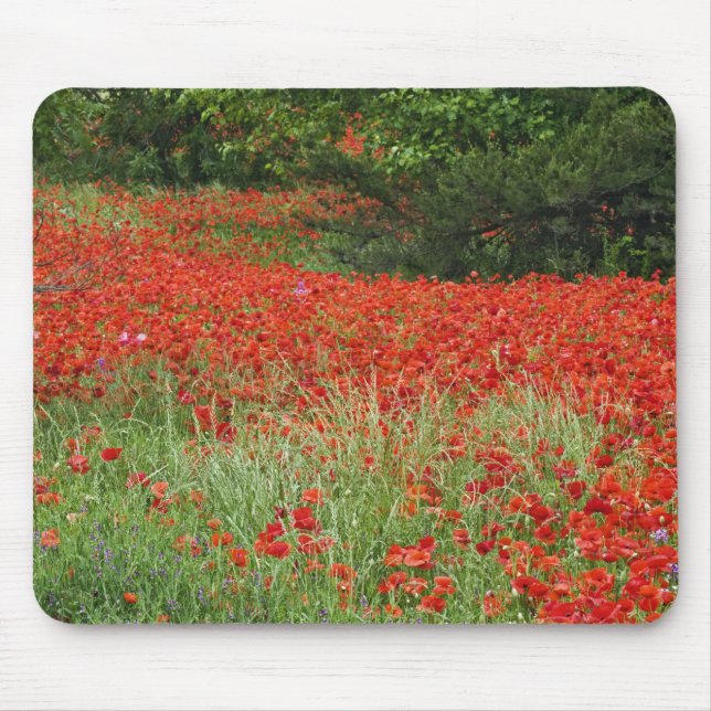 Field of hybrid poppy flowers planted along mouse mat (Front)