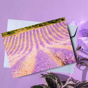 Field Of Lavender Provence France Blank Inside  Card