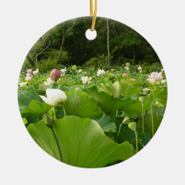 Field of Lotus Flowers Summer Garden Ceramic Tree Decoration (Front)