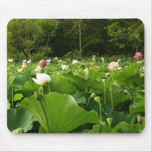 Field of Lotus Flowers Summer Garden Mouse Mat
