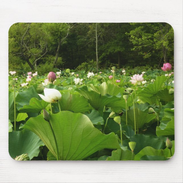 Field of Lotus Flowers Summer Garden Mouse Mat (Front)