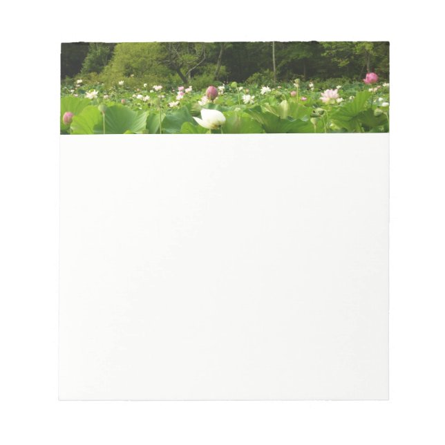 Field of Lotus Flowers Summer Garden Notepad (Front)