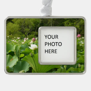Field of Lotus Flowers Summer Garden Silver Plated Framed Ornament
