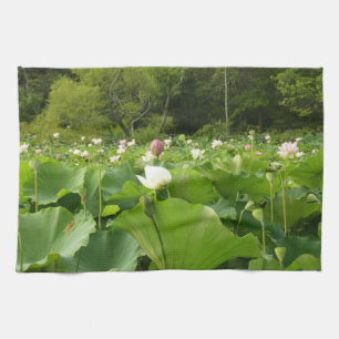 Field of Lotus Flowers Summer Garden Tea Towel