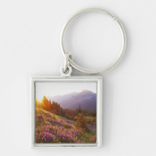Field of lupine and Olympic Mountains at Key Ring