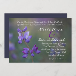 Field of Lupine invitation horizontal
