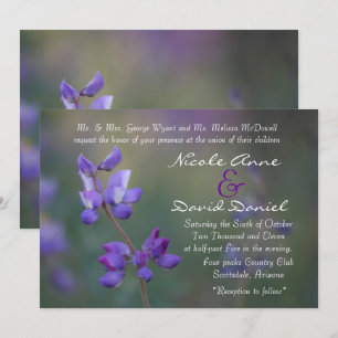 field of Lupine invitation horizontal