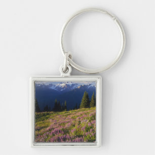 Field of lupine, Mt. Olympus, and clouds at Key Ring