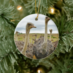 Field of Ostriches Ceramic Tree Decoration