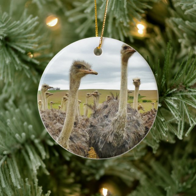 Field of Ostriches Ceramic Tree Decoration (Tree)