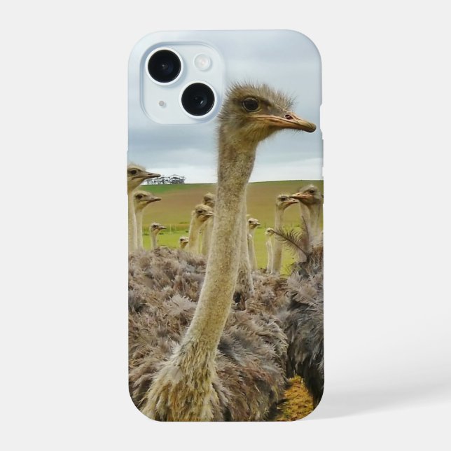 Field of Ostriches iPhone 15 Case (Back)