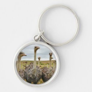 Field of Ostriches Key Ring