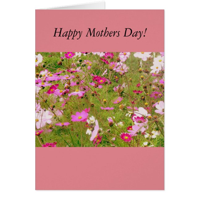 Field Of Pink Flowers (Front)