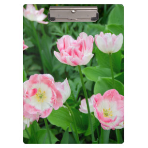 Field of pink tulips clipboard