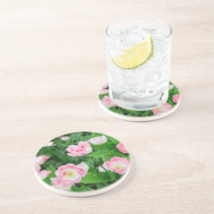 Field of pink tulips coaster