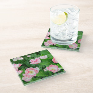 Field of pink tulips glass coaster