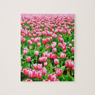 Field of Pink Tulips Jigsaw Puzzle