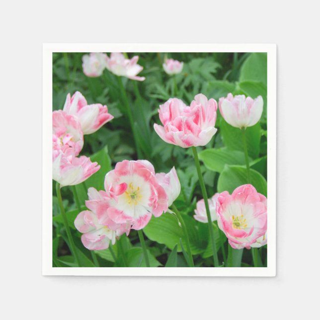 Field of pink tulips napkin (Front)