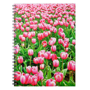 Field of Pink Tulips Notebook