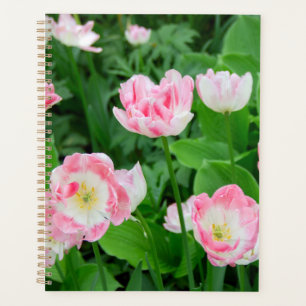 Field of pink tulips planner