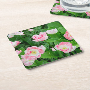 Field of pink tulips square paper coaster