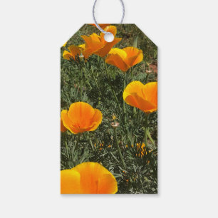 Field of Poppies Gift Tags