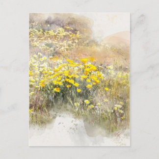 Field of Poppies PostCard